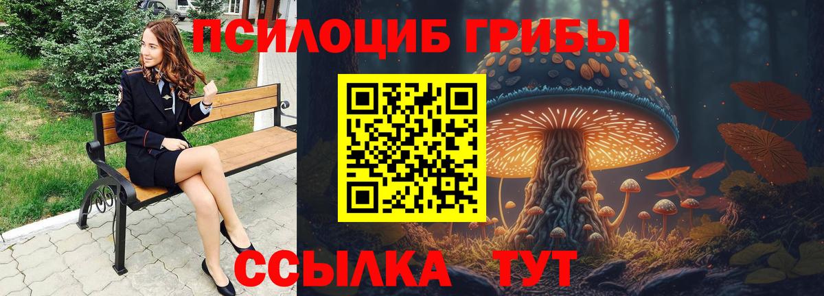 Галлюциногенные грибы прущие грибы  Вход с VPN  купить наркотик  Ахтубинск 